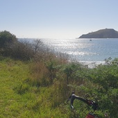 User avatar for Brian Corson