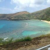 User avatar for Andee Lou