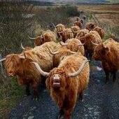 User avatar for Margaret Mc Kenzie