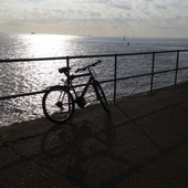 User avatar for Alf Jobling