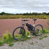 User avatar for Andrew Calder