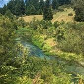 User avatar for Nadia Hasnain