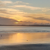 User avatar for Manda Giddens