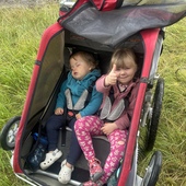 User avatar for Phillip Wood