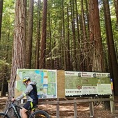 User avatar for Brett Preston