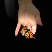 User avatar for Lou Burley