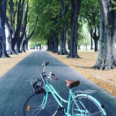 User avatar for Kiran Tajpur