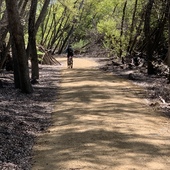 User avatar for Paddy Pawson