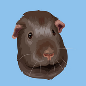 User avatar for Jade Hurst