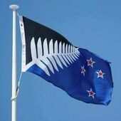 User avatar for Graeme Gunn