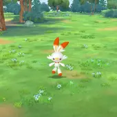 User avatar for Penny Weng