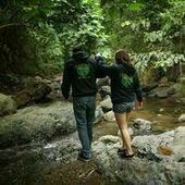 User avatar for Rafael Dimaano