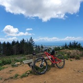 User avatar for Hayden Eckhoff