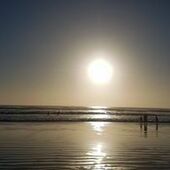 User avatar for Anahera Edwards