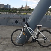 User avatar for Angela Neilson