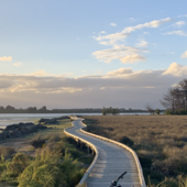 User avatar for Diana Bristol