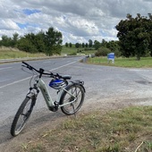 User avatar for Janne Shaw