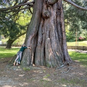 User avatar for Victoria Miguel