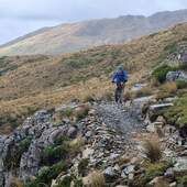 User avatar for Amy Auld