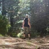 User avatar for Ammo Morris