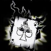 User avatar for Anton Stechman