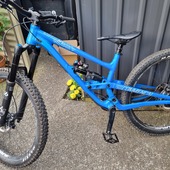 User avatar for Annabelle Cloudesley