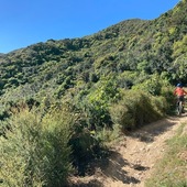 User avatar for Amy Sutherland