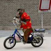 User avatar for Andy Fan