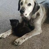 User avatar for Amanda Quinn