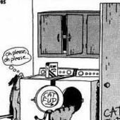 User avatar for Michelle Baskerville