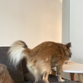 User avatar for Jordan Eyre