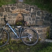 User avatar for David Williams