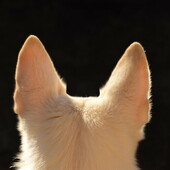 User avatar for Janek Kloss