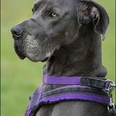 User avatar for John Molloy