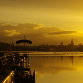 User avatar for Bill Taylor