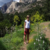 User avatar for Ali Beckett