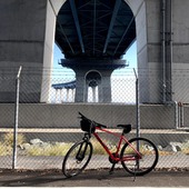 User avatar for Alexia Smith