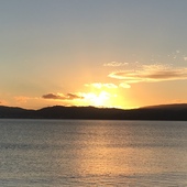 User avatar for Sarah Togher