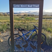 User avatar for Daniel McCormick