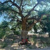 User avatar for AJ P