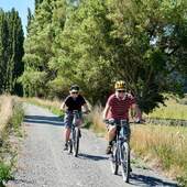 User avatar for Liz Hampton