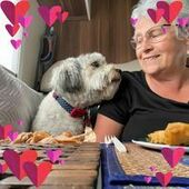 User avatar for Alison Waghorn