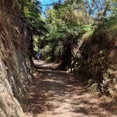 User avatar for Fionne Playford