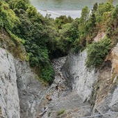 User avatar for Rod Asher