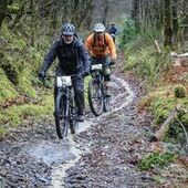 User avatar for David Evans