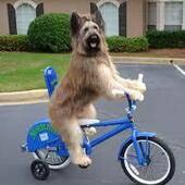 User avatar for Anand Mourougassamy