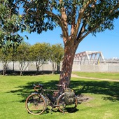 User avatar for Gabriela  Gomez