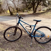 User avatar for Allen McIntosh