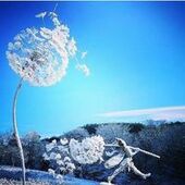 User avatar for Sally Bates