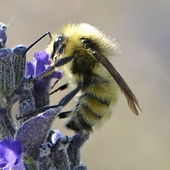 User avatar for Stephan Telm